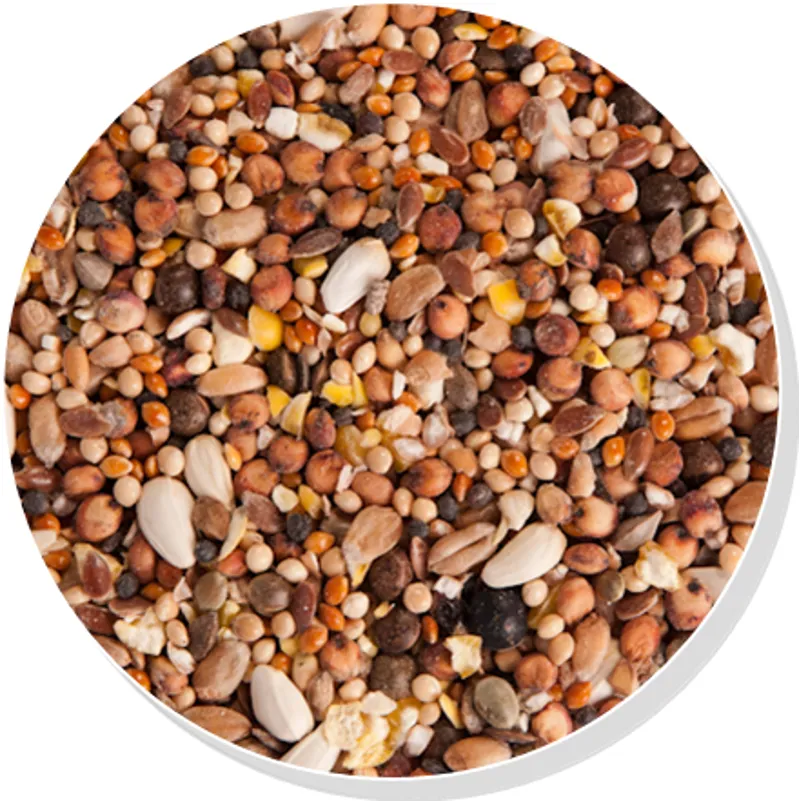 Copdock Mill Pigeon Condition Seed 12.5kg